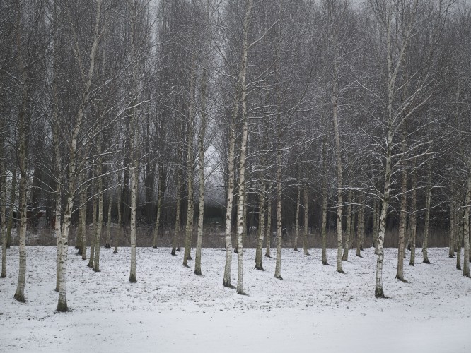 Surroundings of the Detention centre, Schiphol